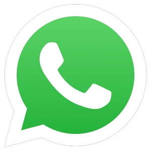 GovChat: SA launches project that allows citizens to WhatsApp politicans